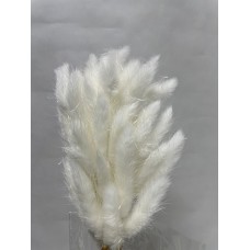 Сухоцвет Лагурус 60 см, белый