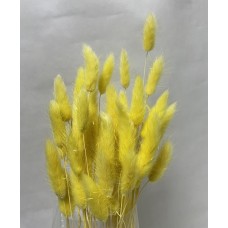 Сухоцвет Лагурус 60 см, жёлтый