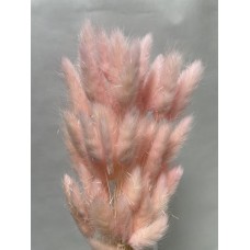Сухоцвет Лагурус 60 см, светло-розовый