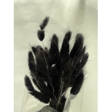 Сухоцвет Лагурус 60 см, чёрный