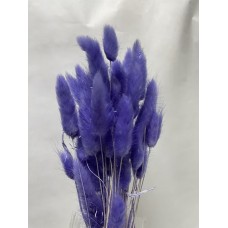 Сухоцвет Лагурус 60 см, фиолетовый